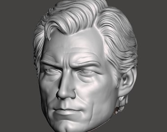 May include: A 3D-rendered bust of a man's head, sculpted in a neutral gray tone. The detailed model features realistic facial features, including furrowed brows and wavy hair, suggesting a serious or contemplative expression. The lighting highlights the contours.