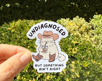 Undiagnosed silly cat sticker / Anxious/ Mental Health Awareness  / gifts/ waterproof /autistic decal/kindle/humor/neurodivergent/fall/adhd
