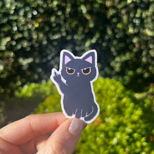 May include: A black cat sticker with a grumpy expression, giving the middle finger. The cat has yellow eyes and pink ears.