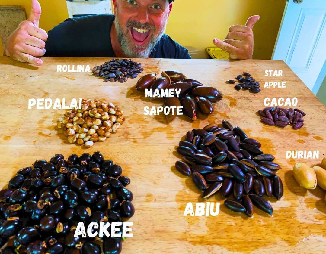 Tropical Tree Seed Mix/50 Seeds/tropical Food Forest in a Box/50 Seeds