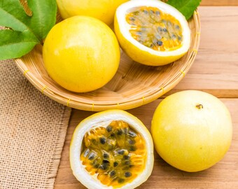 Yellow Lilikoi/15 SEEDS/Tropical Vine/Tropical Fruit Seed/Passionfruit/Yellow Passion Fruit/Tropical Seed/Seeds