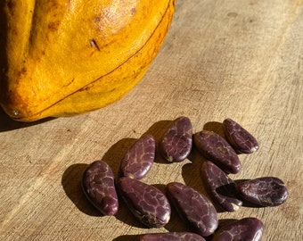 Yellow Cacao SEEDS/5 SEEDS/Chocolate/Hawaii Tree Seeds/Easy To Grow/Fruit Seeds/Tropical Tree Seeds