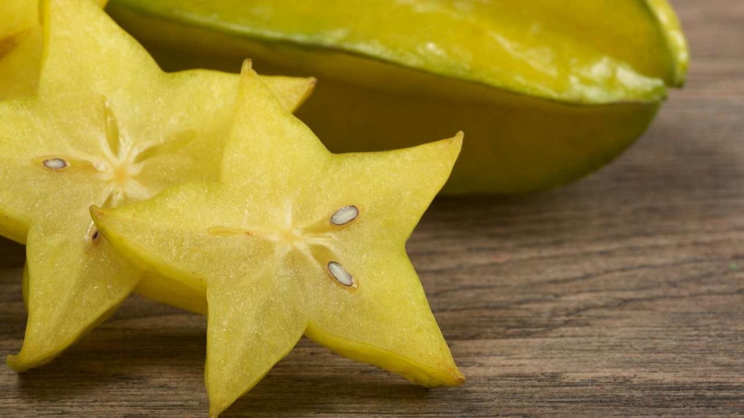 Starfruit Seed/5 Seeds/tropical Tree Seeds/hawaii Island Etsy