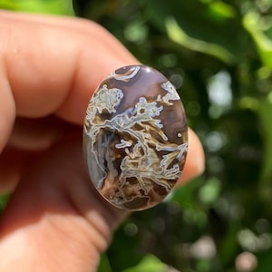 May include: Oval-shaped gemstone with a brown and white pattern. The stone has a polished surface and is held in a hand against a blurred green background. The intricate design resembles a natural landscape.