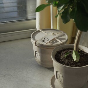 Op de afbeelding: Twee lichtgrijze keramische potten, één met een deksel en een label met de tekst "pots", en de andere met een schotel. Beide potten hebben boogvormige uitsparingen. Een kleine plant staat in de pot zonder deksel.