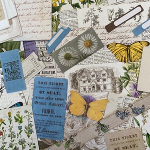Papier cartonné éphémère d'aspect botanique et vintage, papillon floral | Journaux indésirables | Scrapbooking | Fabrication de cartes | Technique mixte | Collage