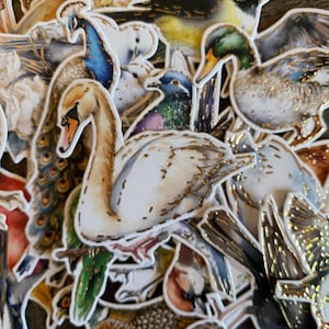 Oiseaux découpés | Oiseaux éphémères | Papier cartonné Oiseaux | Scrapbooking | Fabrication de cartes | Création d'étiquettes | Journaux indésirables | Technique mixte
