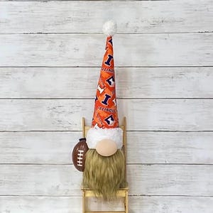 Illinois Fighting Illini Gnome