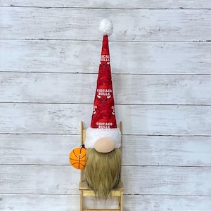 Chicago Bulls Gnome