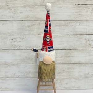 Florida Panthers Gnome