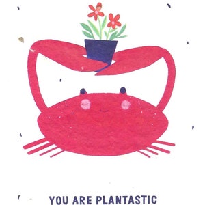 You are plantastic | Die wachsende Karte | Kunstpostkarte | Primoza | Virginia‘s Naturwerk