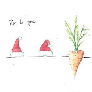 Ho, ho, grow | Die wachsende Karte | Kunstpostkarte | Primoza | Virginia‘s Naturwerk
