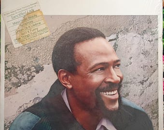 Marvin Gaye - Dream of a Lifetime 1985 release on Columbia FC 39916