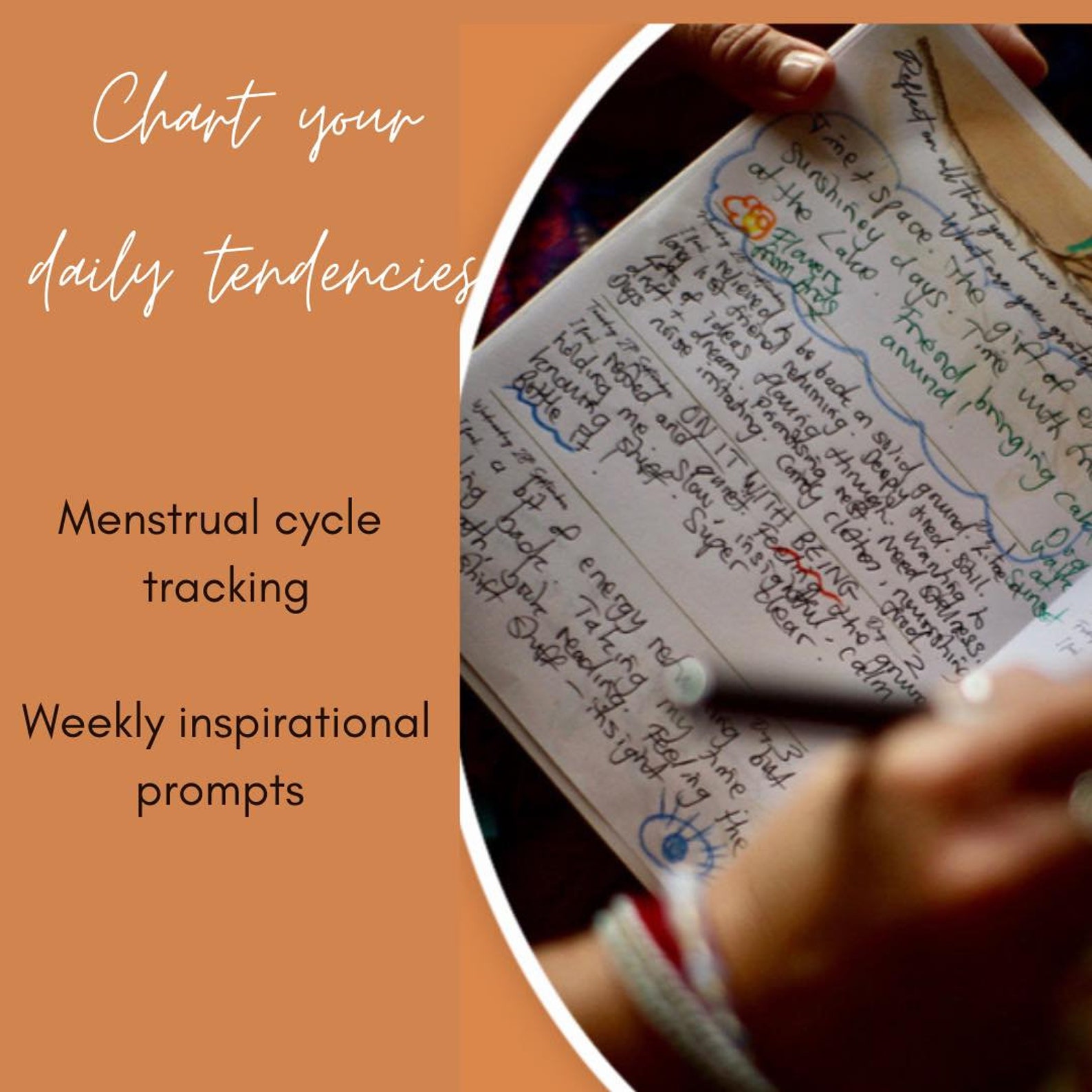 Menstrual Cycle Diary Wild Wisdom Journal 2022 Moon Phases Etsy