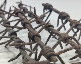 Rusty WW1 barbed wire