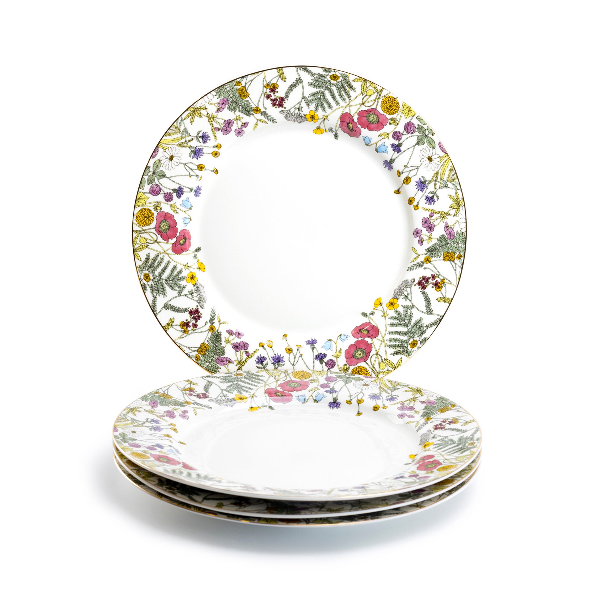 Ditsy Floral Dinner Plates (Set of 12)