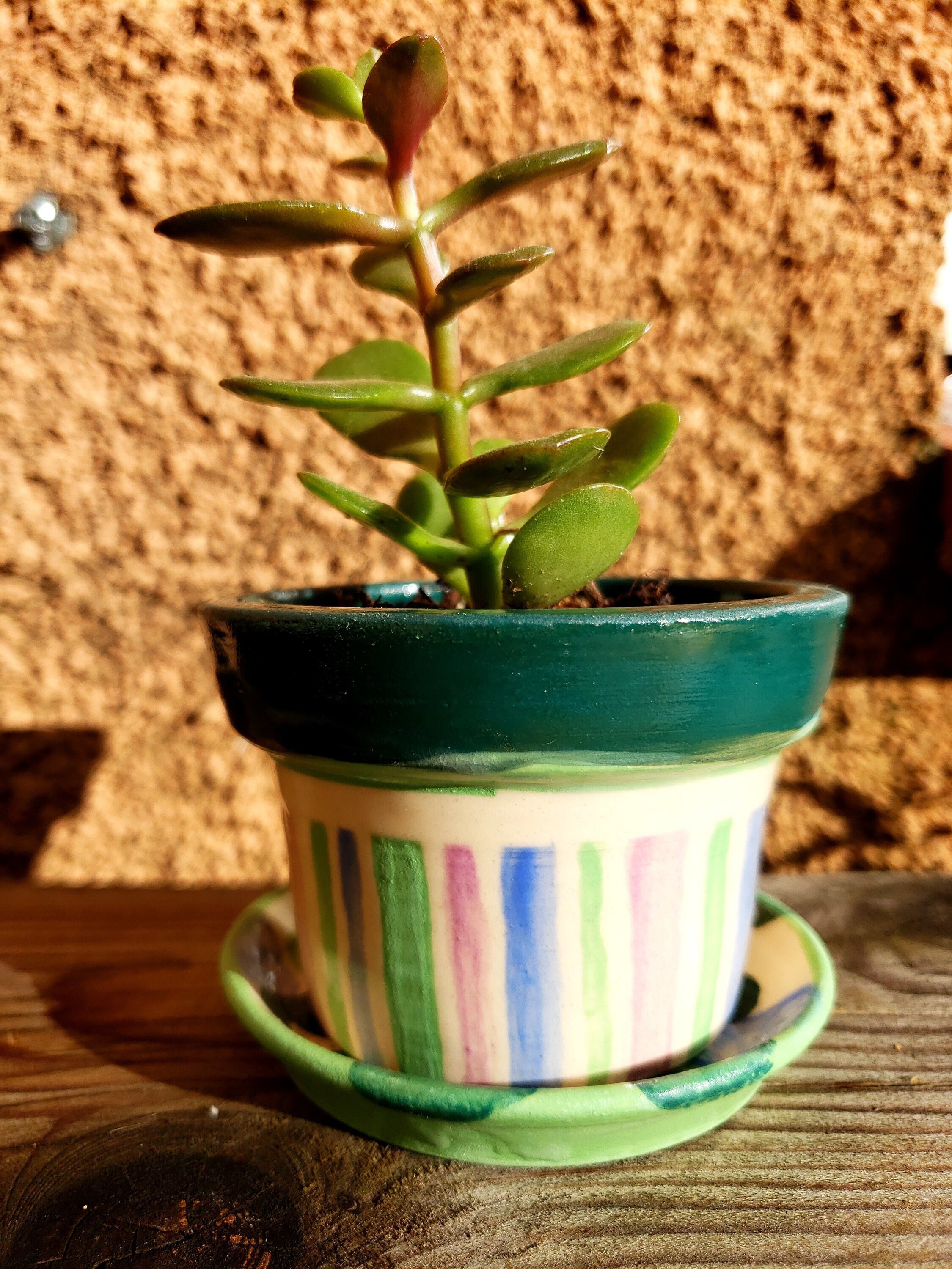 Petit Pot de Fleur en Céramique Faite Main Artisanal - Pièce Unique