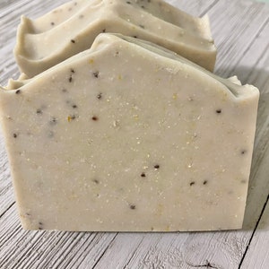 Mechanics/ Gardeners Soap