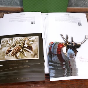 Start a Reservation visual data 2