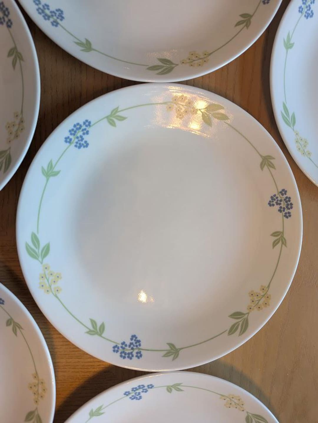 Corelle Dinnerware. Pattern Secret Garden. Dinner Plate 10 1/4 Inches ...