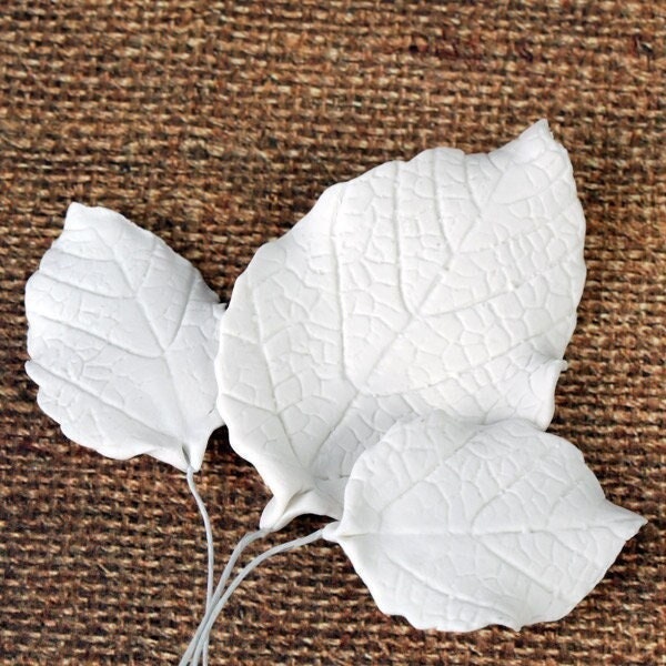 White Rose Leaf Sugar Flower Cake Topper | Assorted Size Gum Paste Leaves for Cake Decorating Wedding Cakes & Birthday Cakes