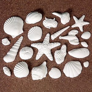 Sea Shell Cake Toppers | Edible Cake Toppers for Decorating Under the Sea Cakes, Ocean Birthday Cakes, Beach Wedding Cakes - 24/box