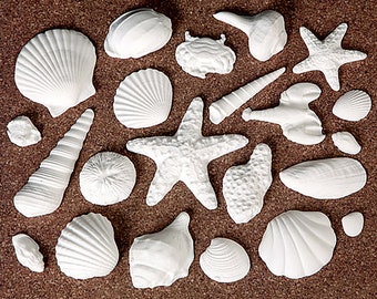 | de gâteaux de coquillages Gâteaux comestibles toppers pour décorer sous les gâteaux de mer, gâteaux d’anniversaire de l’océan, gâteaux de mariage à la plage - 24 / boîte