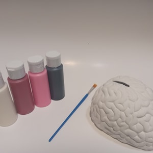 May include: A white ceramic brain-shaped piggy bank with a slot on top, along with four small bottles of paint in white, pink, light pink, and gray, and a blue paintbrush.