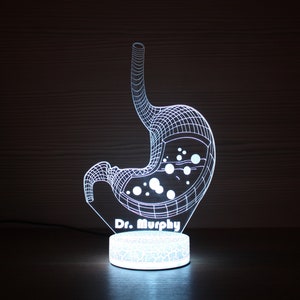 Stomach Gift 3D Stomach Gastroenterologists Gift Doctor Gifts Stomach Lamp Led Lamp 3D Night Lamp 3D Night Light Children Light