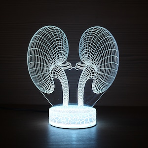 Kidneys Gift Nephrologist Gift 3D Kidney Doctor Gifts Led Lamp 3D Night Lamp 3D Night Light Children Light 3D Illusion LED Lamp Gift Idea