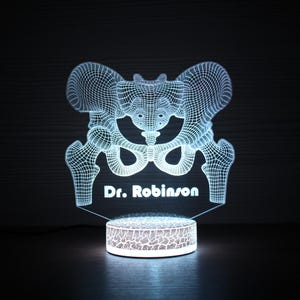 May include: A white 3D printed anatomical model of a human pelvis with the name "Dr. Robinson" printed below. The model is illuminated from within, creating a glowing effect.