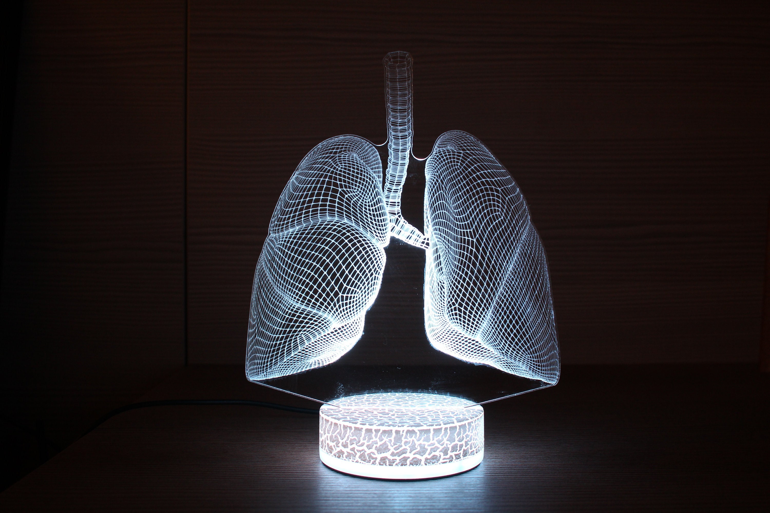 Lunge Geschenk 3D Lunge Pulmologen Geschenk Arzt Geschenke Led Lampe 3D Nachtlampe 3D Nachtlicht Kinder Licht 3D Illusion LED Lampe Geschenkidee
