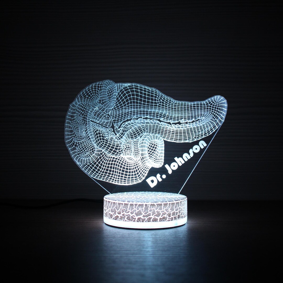 Gastroenterologist Gift Pancreas and Duodenum Lamp Gastroenterology ...