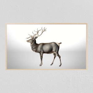 Samsung Frame TV Art Elk | Frame Tv Art | Digital Download | Digital Art | Vintage Painting | Instant Download
