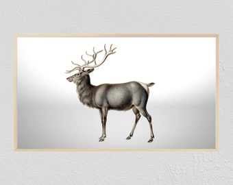 Samsung Frame TV Art Elk | Frame Tv Art | Digital Download | Digital Art | Vintage Painting | Instant Download