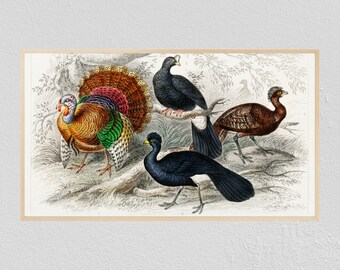 Samsung Frame TV Art Thanksgiving, Turkey, Feast, Gather, Painting, Autumn, Fall, Frame TV Art, Samsung Art TV, Digital Download