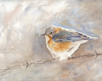 Print of original bluebird watercolor painting