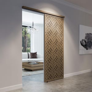 Double Layer Sliding Door | Decorative Interior Barn Door Panel Screen | For Closets and Doors + Track Hardware Kit