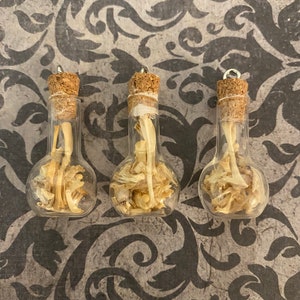 May include: Three small glass bottles with cork stoppers and silver caps, each containing a collection of small white bones. The bottles are arranged in a row on a dark patterned surface.