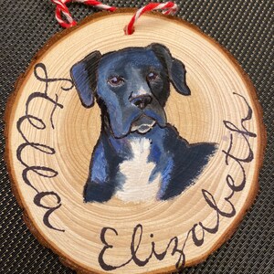 Customized Hand Painted Pet Ornaments