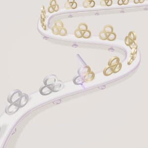 Gold Logo Animation Tool - AURIC, SVG Upload and Editable Web Code