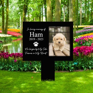 May include: Black memorial sign with a photo of a small white dog. The sign reads "In loving memory of Ham 2019-2023 No longer by My Side Forever in My Heart."