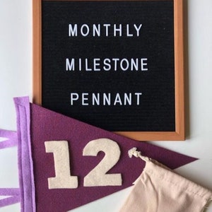 Monthly Milestone Pennant | Baby Boy Baby Girl | Felt | Baby Shower Gift