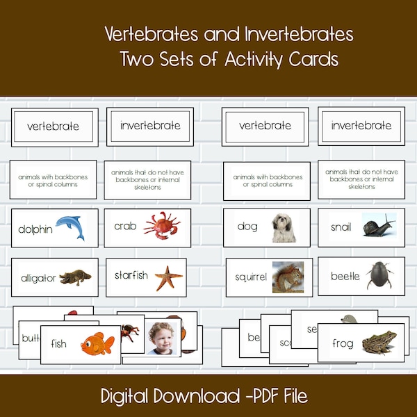 Montessori Classification Cards, Montessori Sorting Cards, Montessori Life Science, Vertebrates and Invertebrates, Kindergarten Science