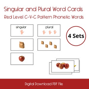 Cartes d'activité singulier et pluriel, étagère Montessori, activité linguistique Montessori, langue Homeschool -PDF DIGITAL DOWNLOAD