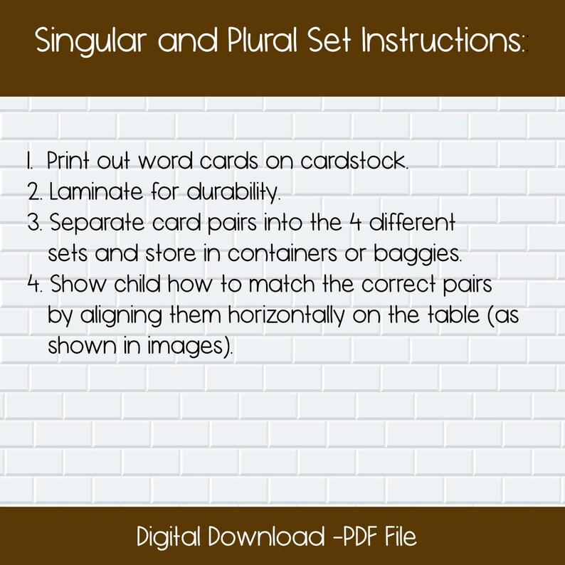 Singular and Plural Activity Cards Montessori Shelf Etsy