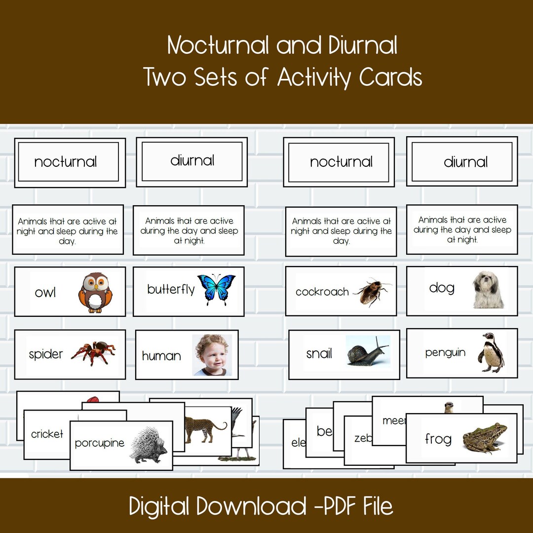 Montessori Classification Cards Montessori Sorting Cards Etsy