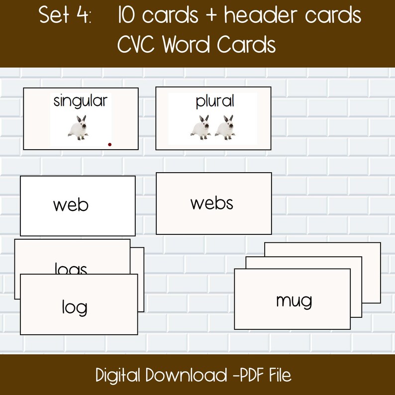 Singular and Plural Activity Cards Montessori Shelf Etsy