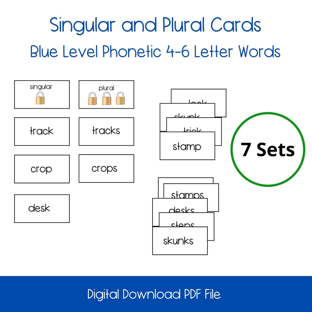 Singular and Plural Activity Cards Level 2 Blue Level, Montessori Shelf