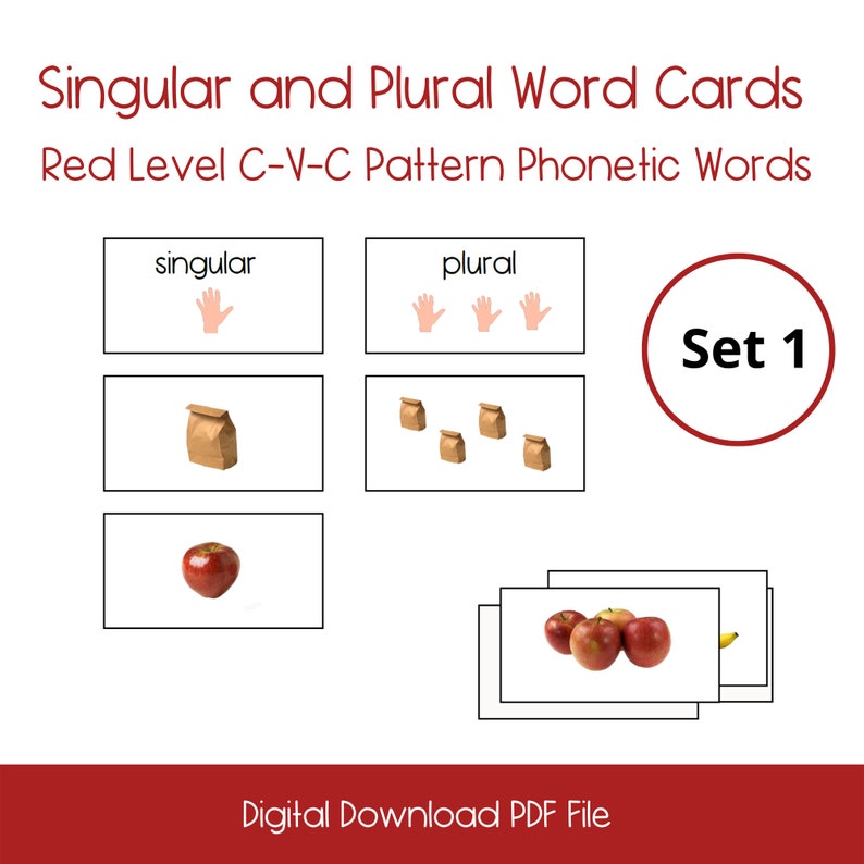 Singular and Plural Activity Cards, Montessori Shelf, Montessori